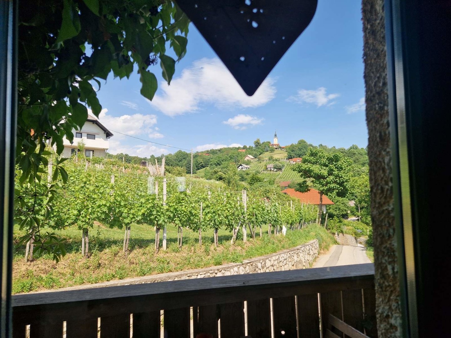Trkša gora vabi