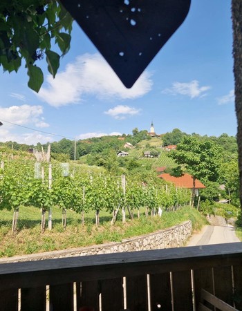Trkša gora vabi